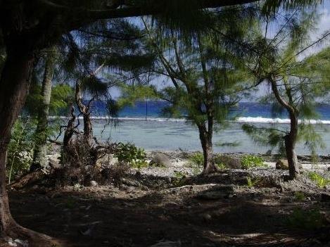 Pension Chalet Tipanier Raiatea Exterior photo